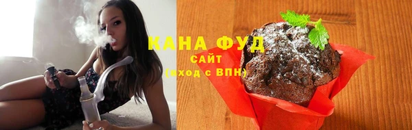 шишки Медногорск