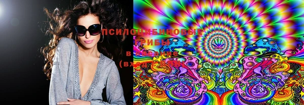 PSILOCYBIN Медвежьегорск