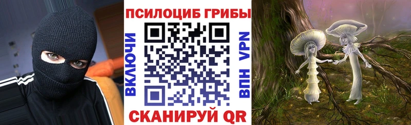 OMG сайт  что такое наркотик  Кандалакша  Галлюциногенные грибы мухоморы 