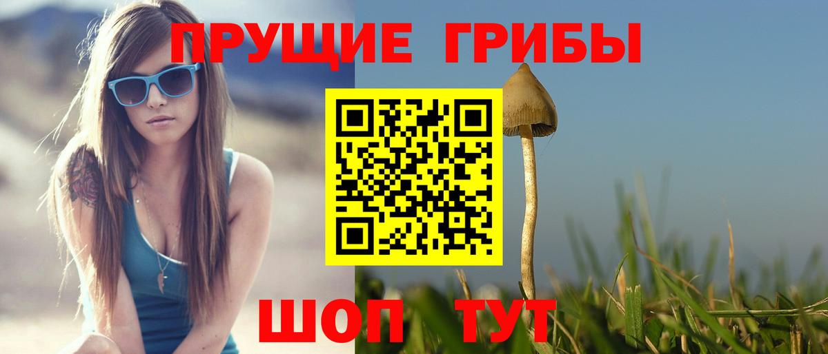 Кандалакша  Галлюциногенные грибы ЛСД  Вход с VPN 